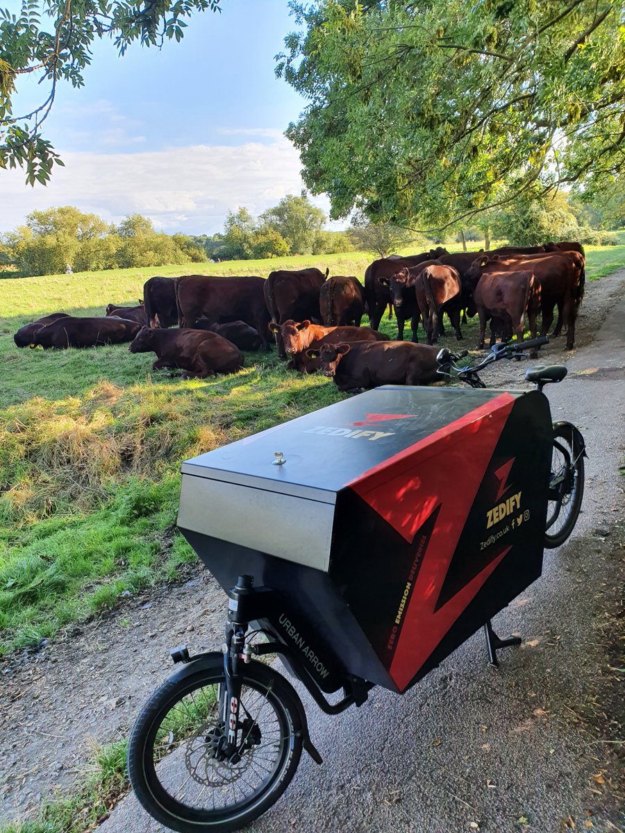 Dispatch- Any reason your pin has been stationary in the middle of the common for 5 mins?

Courier - Experiencing some cow herding related delays on route... ETA 5 mins...

#Cambridge #cows #cycling #logistics