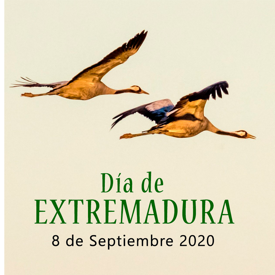 AutocaresVilaplana tweet media