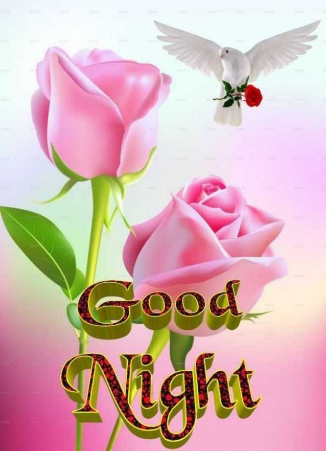 venkat8mvr's tweet photo. https://t.co/WIpCfz0mYy