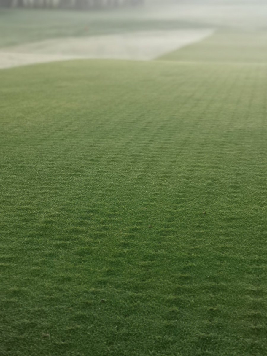 scottpatrick7's tweet photo. 8mm tines at 200mm depth letting air into the greens https://t.co/9pawfgMDCo
