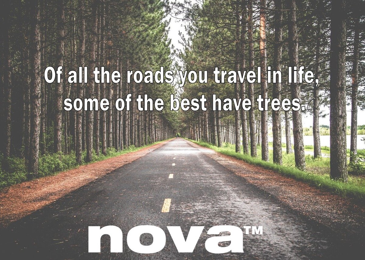 novawoodworking's tweet photo. Truth! #woodworking #trees #woodart #Woodturning https://t.co/76i4kOqEQK