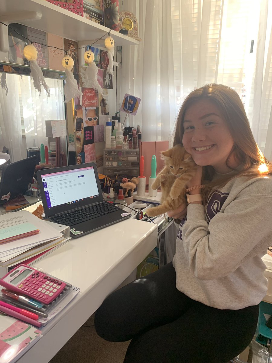 BaldwinHSCheer's tweet photo. We are officially back to school at the BW School District and we are SO excited to be back! Take a look at how some of the BHS Cheer JUNIORS are spending their first day of #BackToSchool #Classof2022 ✏️🍎 https://t.co/S0THvS0BQG