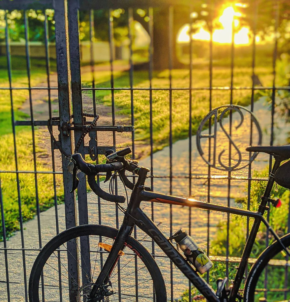 TPsychlist's tweet photo. Something I longed for all these days ❤️
.
.
Shot on @googlepixel 
.
.
@googleindia @cyclingmonks @CyclingCities
@pedallersofindia @indiancyclingnetwork @ridecannondale #teampixel #cyclists #cycling #sunrise #cyclist #nature https://t.co/GnFSFBoscn