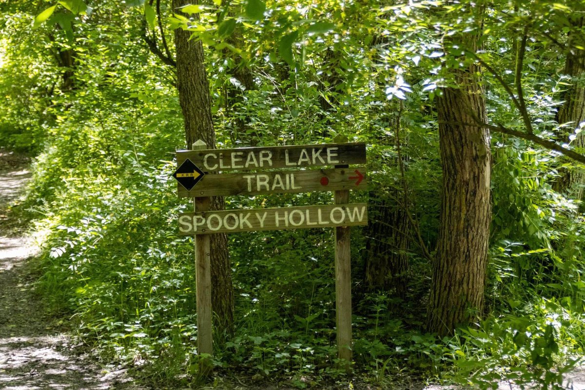 TheSnookguy's tweet photo. I will always take the spooky, haunted, etc trail, path or road. There were spirits in those woods. Guardians of the Forest from around the world. #kickapoostatepark #forestspirits #illinoisparks https://t.co/SAk1ZhZnR5