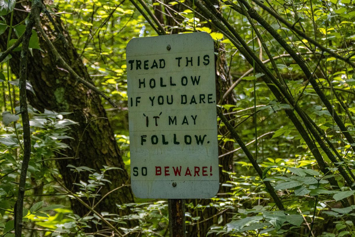 TheSnookguy's tweet photo. I will always take the spooky, haunted, etc trail, path or road. There were spirits in those woods. Guardians of the Forest from around the world. #kickapoostatepark #forestspirits #illinoisparks https://t.co/SAk1ZhZnR5