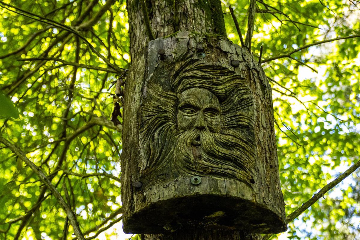 TheSnookguy's tweet photo. I will always take the spooky, haunted, etc trail, path or road. There were spirits in those woods. Guardians of the Forest from around the world. #kickapoostatepark #forestspirits #illinoisparks https://t.co/SAk1ZhZnR5
