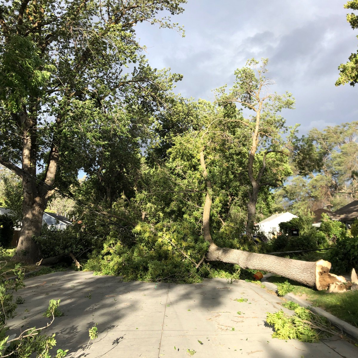 4Reale's tweet image. No one is leaving my street anytime soon! Except me. I took the scariest sprint of my life to get to a car and get to campus. #utwind