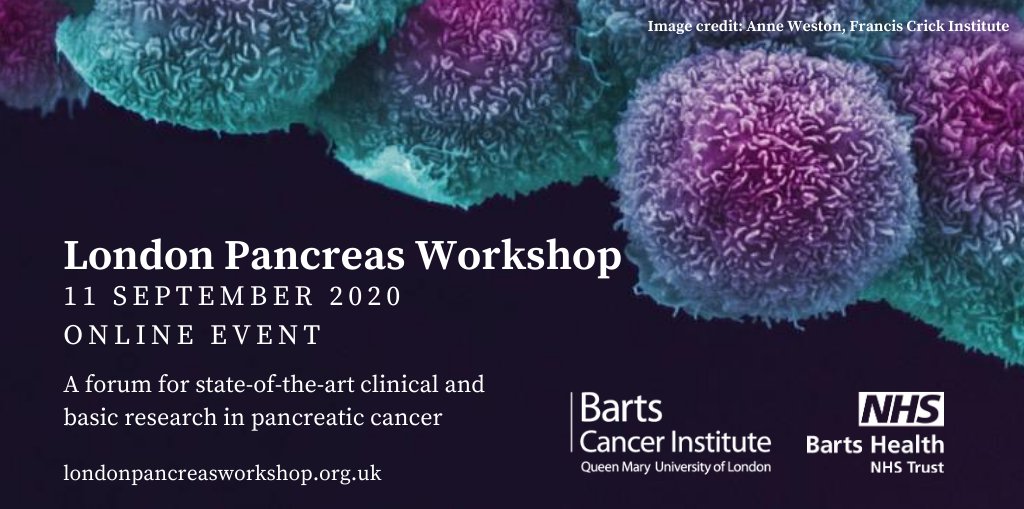 QMBCI's tweet photo. Presentation recordings are now available to those who have registered for the London Pancreas Workshop #2020LPW - login to the website to start watching! Remember to tune in on Friday 11th September for the live Q&A sessions https://t.co/vSAJKaAVlp https://t.co/rLu0YbclEQ
