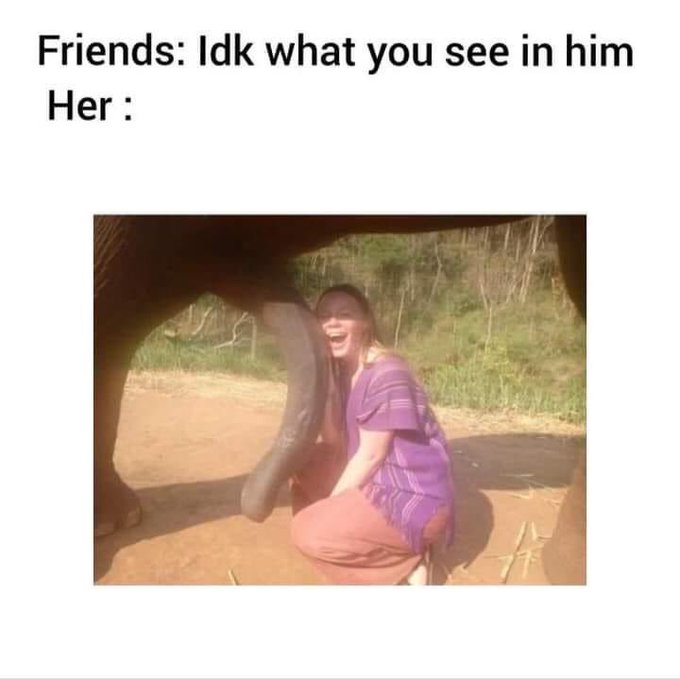 Goat Pacer’s pics and videos