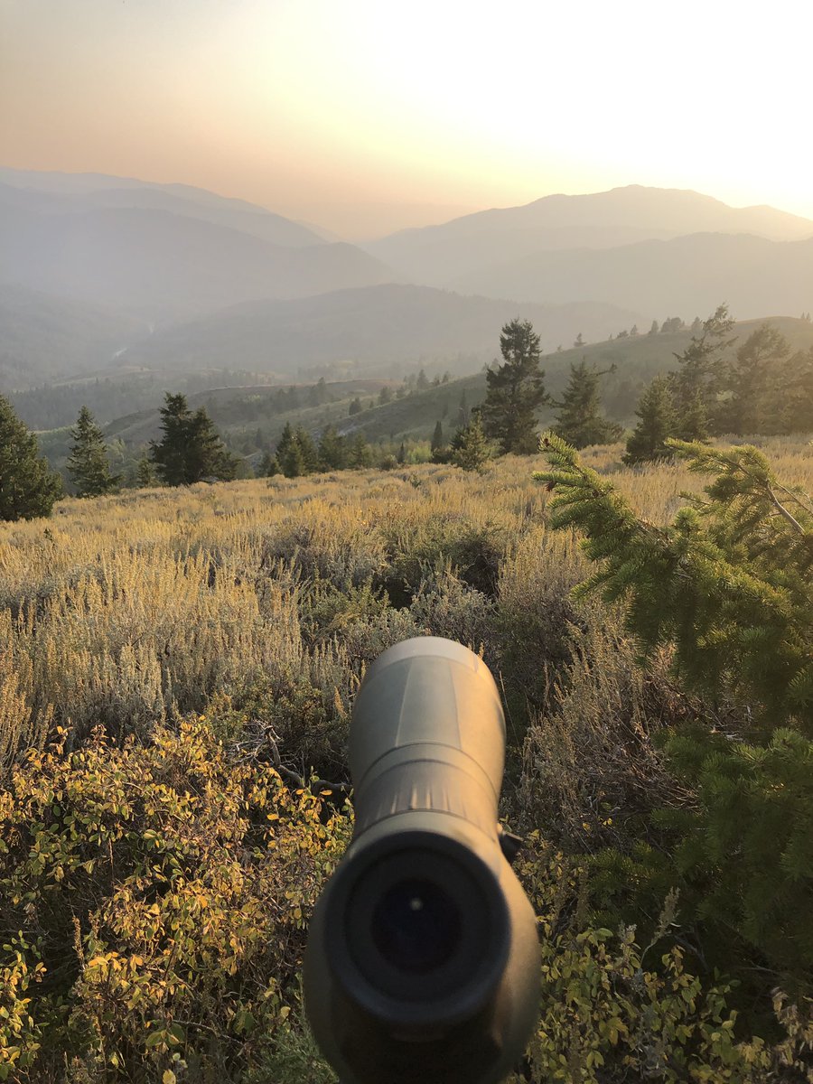 acoutdoors's tweet image. Sometimes I think having good glass is more of a crystal ball torture device... like o you see that giant deer a 100 miles away that there’s no way I can ever get to unless I started hiking in last week? But o you only have today to hunt? Sorry... #huntingProblems