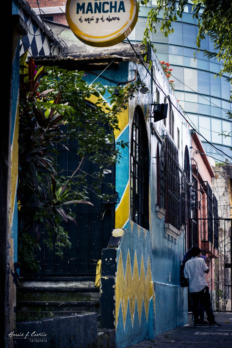 Haraldshots's tweet photo. Street 📸 #photography #streetphotography #flores #nikon #nikontop #StreetArt #50mm #visitguatemala #photographer #arquitecturephoto #4gradosnorte #Guatemala #japanesephoto #soy502 https://t.co/TvjFg65JIN