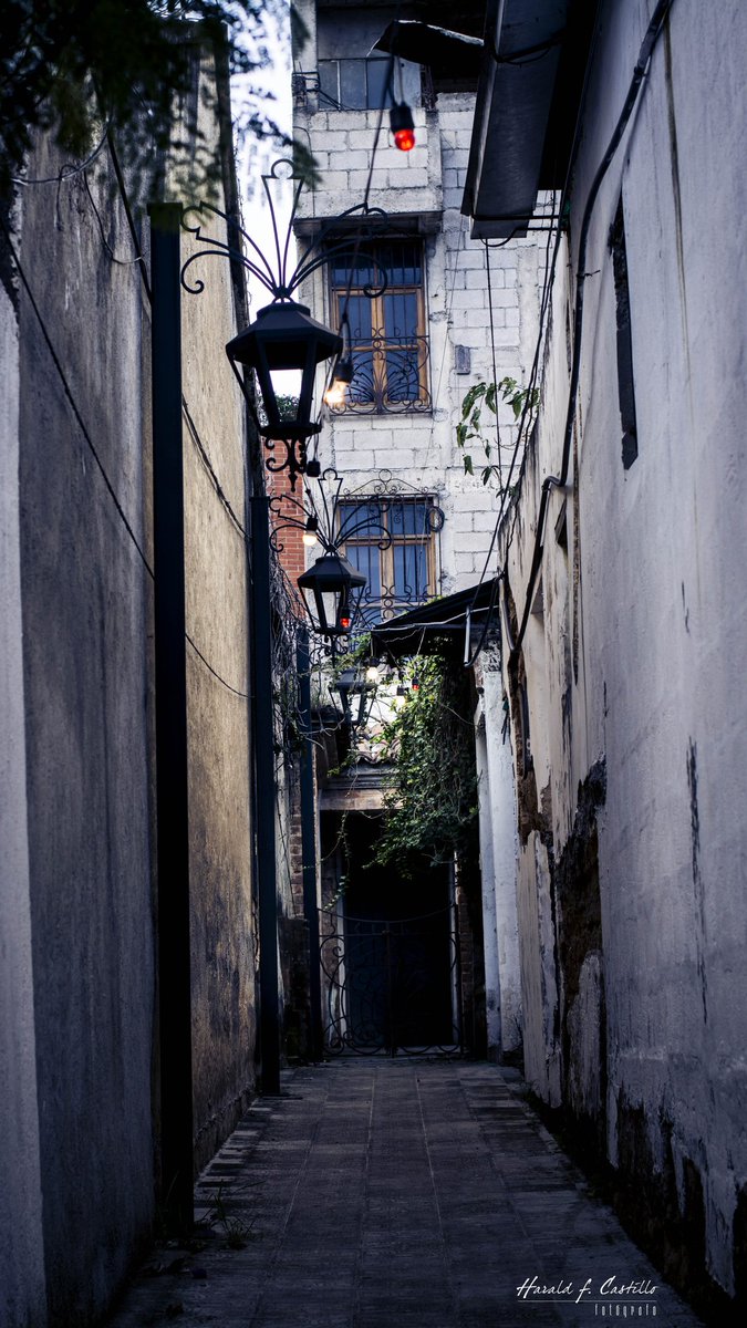 Haraldshots's tweet photo. Street 📸 #photography #streetphotography #flores #nikon #nikontop #StreetArt #50mm #visitguatemala #photographer #arquitecturephoto #4gradosnorte #Guatemala #japanesephoto #soy502 https://t.co/TvjFg65JIN
