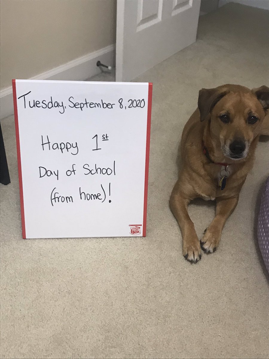 Mrs. Zamudio tweet media