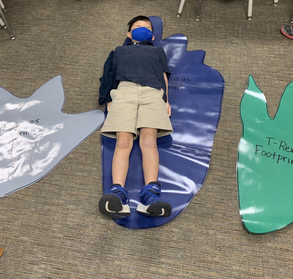 laurenkane_ILC's tweet image. Just HOW big were the dinosaurs? Measuring, comparing, predicting and estimating footprints. #trinitylearns