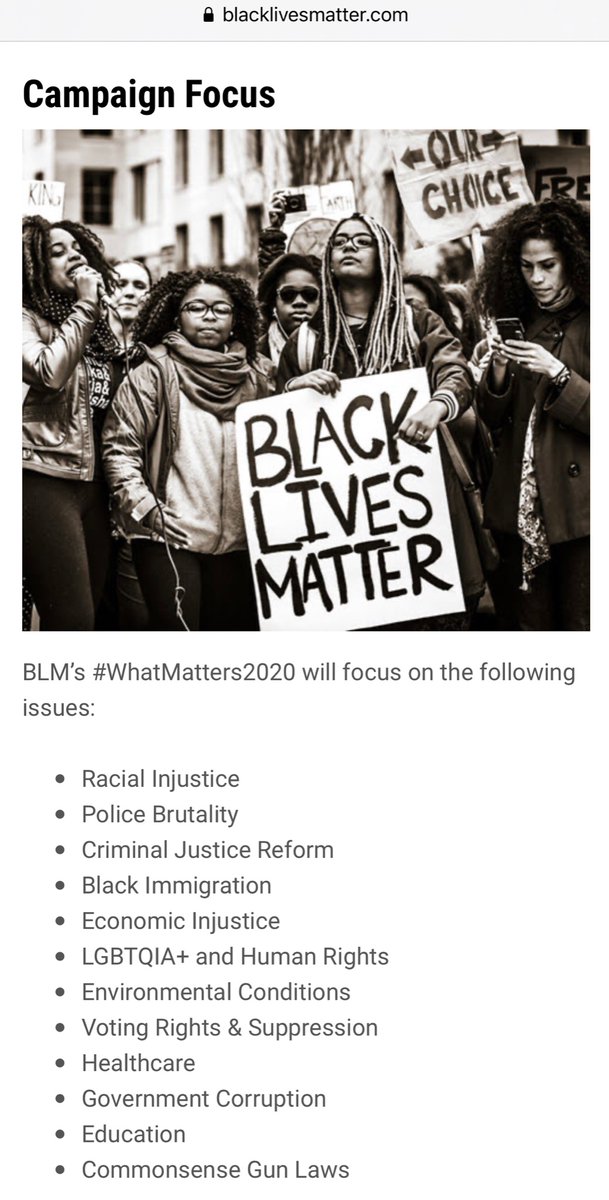 BLM is now focusing on Election 2020