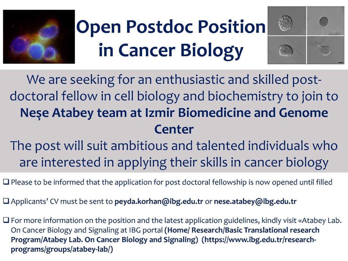 Atabey Lab tweet media