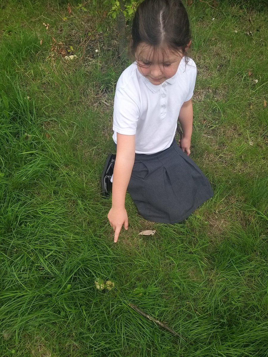 PrimaryButts's tweet photo. Fox Class had a lovely, busy morning exploring the outdoor environment: finding mushrooms, playing the 'My stick is' game and making journey sticks to create school maps! #outdoorlearning #StanleysStick #explorers https://t.co/77UM7fNJUd