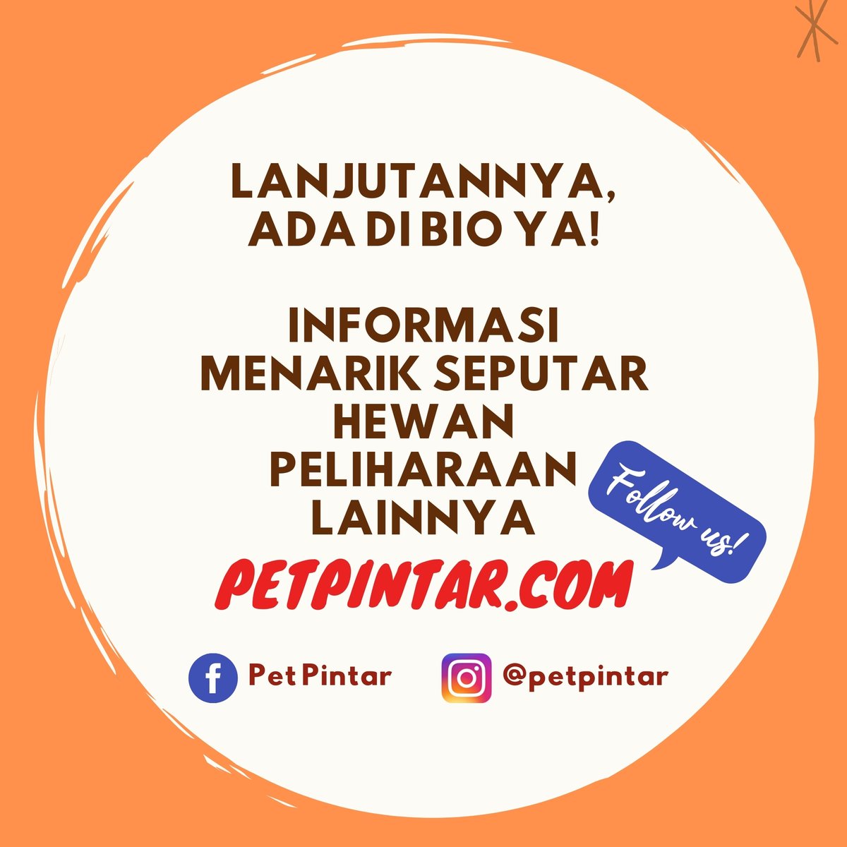 PetPintar's tweet photo. Ingin pelihara burung lovebird dirumah namun tidak tau cara merawatnya? 

Jangan khawatir, begini cara merawat lovebird supaya jinak dan gacor
https://t.co/Vwvfp3F4MD
.
.
.
.
.
#birdlove #lovebird #birds #birdstagram #instabirds #birdphoto #bird_lovers #birdsphotography https://t.co/Wc92vetnzu