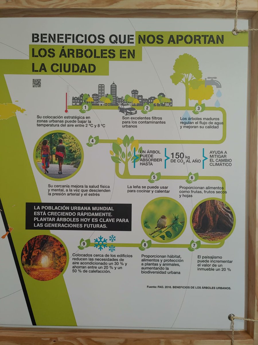 arribalasramas's tweet photo. Beneficios de los árboles de ciudad. @LaCasaEncendida  gracias a nuestro querido César Hernández por pasárnoslo https://t.co/7hRx3VZh8m