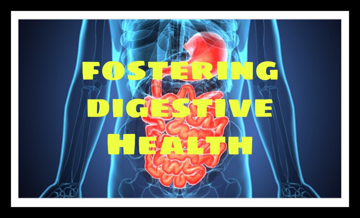 OurDailyHealth1's tweet photo. Boost digestive health naturally- good digestive system enhances the overall immunity of the body.
#digestive_health
#digestive_system
#gastroenterology
#immunity
https://t.co/Pux3JVKB9i
For more, visit the website
https://t.co/qLRovnjCAJ https://t.co/BwAMKvwTWU