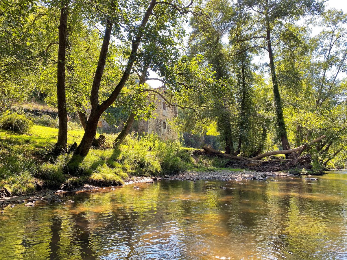 RusticasS's tweet image. Un precioso lugar en la rivera del río y un antiguo #molino para #rehabilitar  a sólo 15 km. de #Oviedo. Se vende con Proyecto de rehabilitación, te atreves?  bit.ly/32biR2B