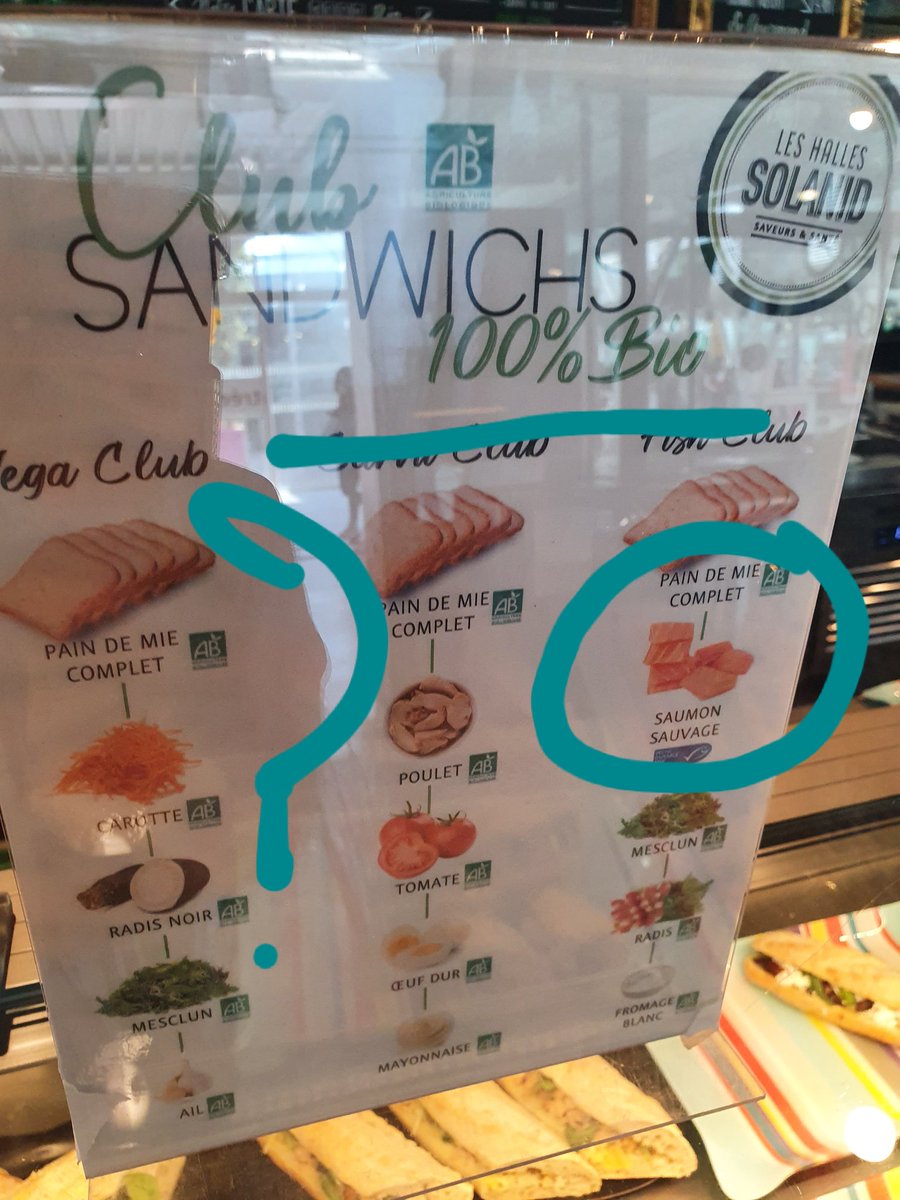 Bruno Paternot 🌊 tweet media