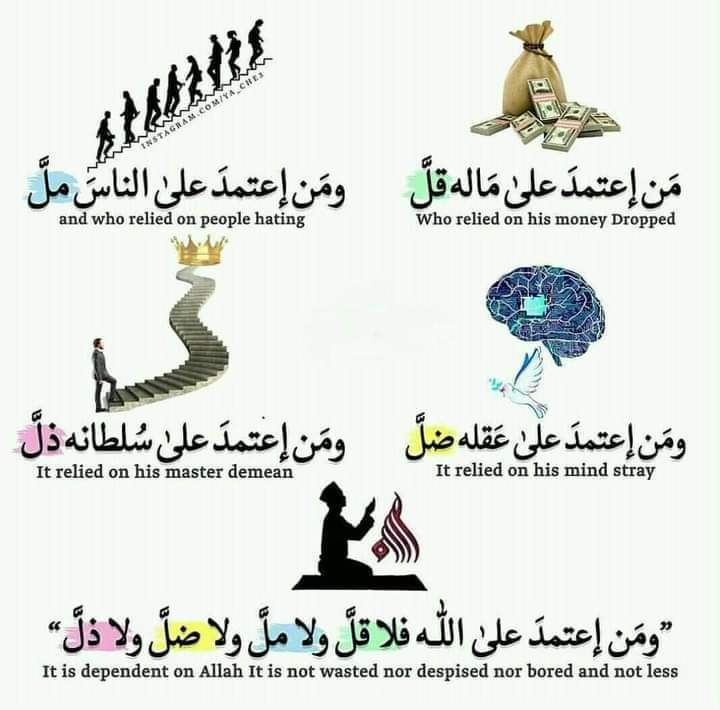 Mohammad Alkurdi (@mo_kurd) on Twitter photo 