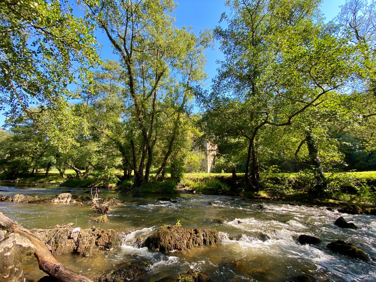 RusticasS's tweet image. Un precioso lugar en la rivera del río y un antiguo #molino para #rehabilitar  a sólo 15 km. de #Oviedo. Se vende con Proyecto de rehabilitación, te atreves?  bit.ly/32biR2B