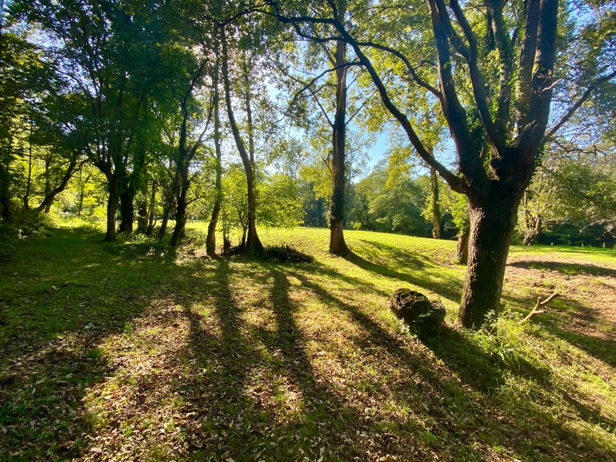 RusticasS's tweet image. Un precioso lugar en la rivera del río y un antiguo #molino para #rehabilitar  a sólo 15 km. de #Oviedo. Se vende con Proyecto de rehabilitación, te atreves?  bit.ly/32biR2B