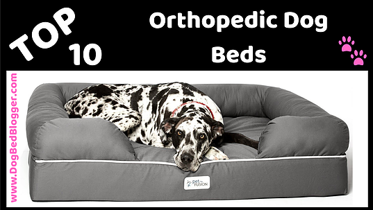 TOP 10 ORTHOPEDIC DOG BEDS ON AMAZON: dogbedblogger.com/top-10-orthope…