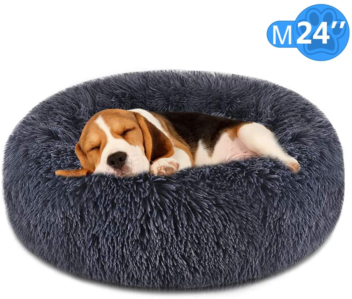 Still one of my favorites! The donut pet bed: amzn.to/35edZeU