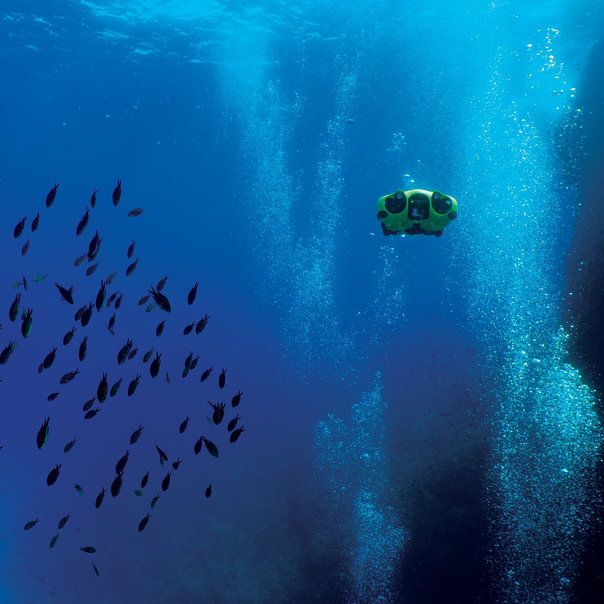 #iMakeMemories 33: iBubble in the bubbles
Learn more on hubs.ly/H0tLM7V0 👌

#iBubble #autonomous #underwaterdrone #underwatervideo #underwaterphotography #underwaterart #diving #scuba #scubadiving #freediving #underwater #ocean