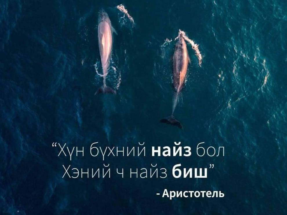 sumiyamgl's tweet photo. Хүн бүхний найз бол хэний ч найз биш! https://t.co/FfHZDZ0w8N