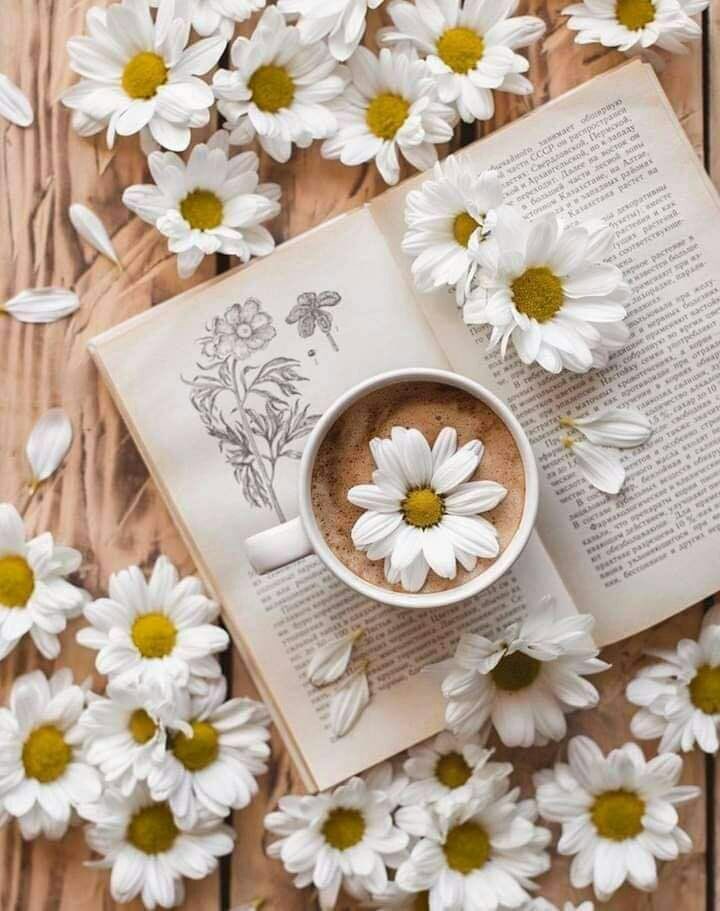 AuyushAl's tweet photo. ما أجمل أن تكون نواياك بيضاء؟ 

حتى لو ألبسوك سواد ضنونهم؛؛؛

♥‿♥ https://t.co/UrmK3lku1j