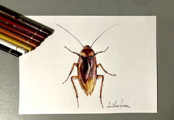 鉛筆画 高画質 のtwitterイラスト検索結果 古い順