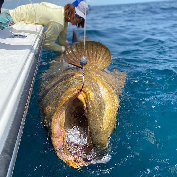 Big JEW for SUZY Q!

Follow @ifishinglover for more of the best fishing content! 

#fishinglovers #fishinglifestyle #fishinglove #fishingfun #fishing #fishingpics #fishingislife #fishingaddict #jew #pikefishing #fishinglover