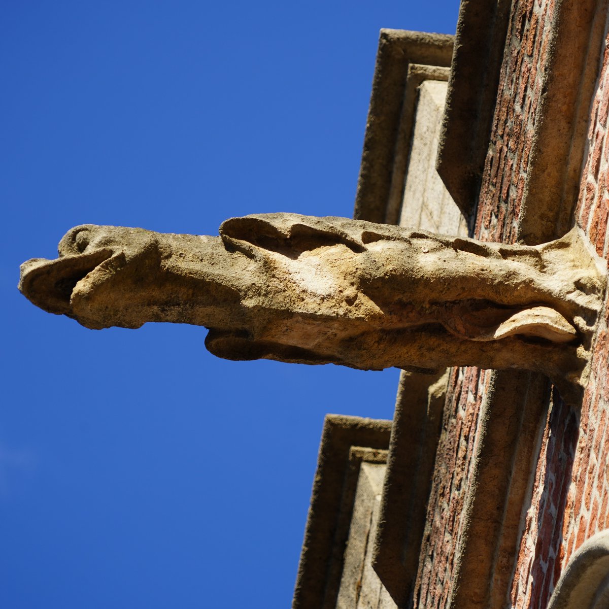 GhentCityGuide tweet media