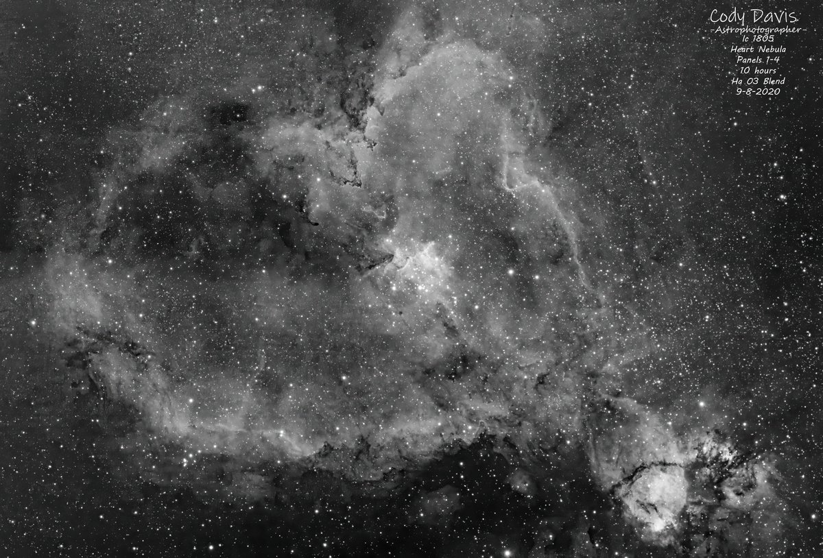 Cody Davis tweet media