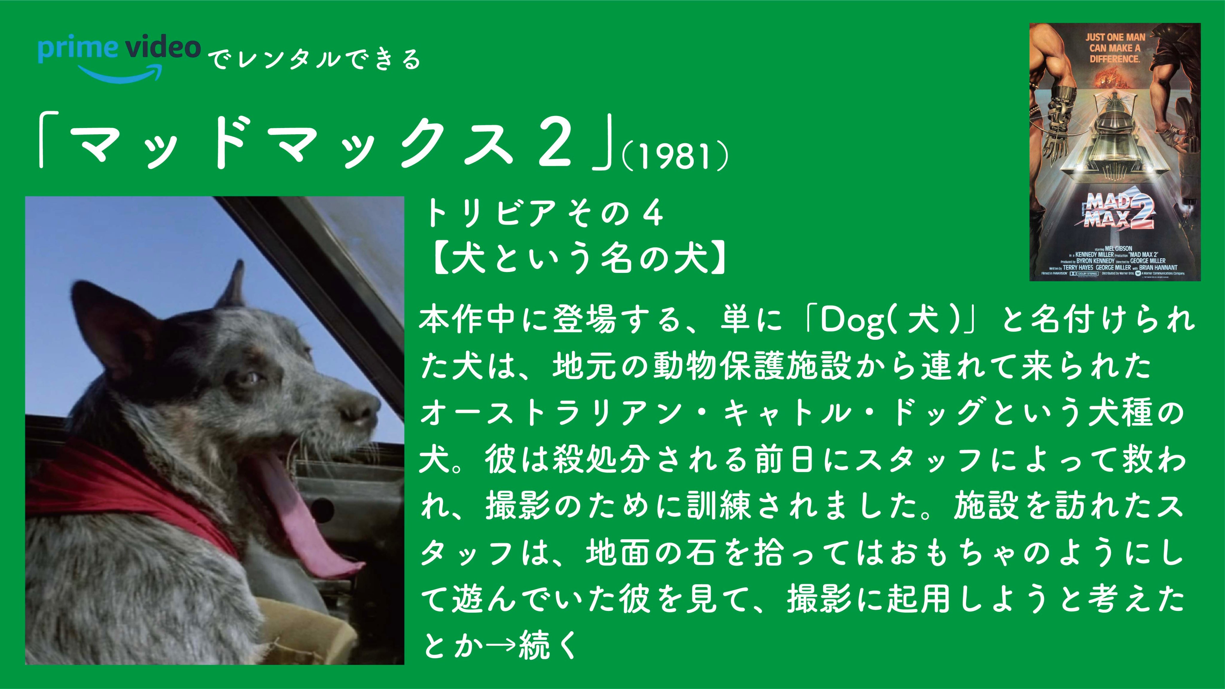 毎日映画トリビア 1日1本映画トリビア生活156日目 マッドマックス2 1981 トリビアにこめ 映画トリビア 映画好きと繋がりたい マッドマックス2 フジテレビ ミッドナイトアートシアター T Co K06hebacji Twitter