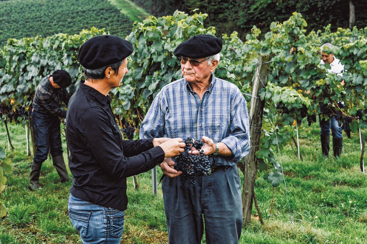 Corney & Barrow tweet media