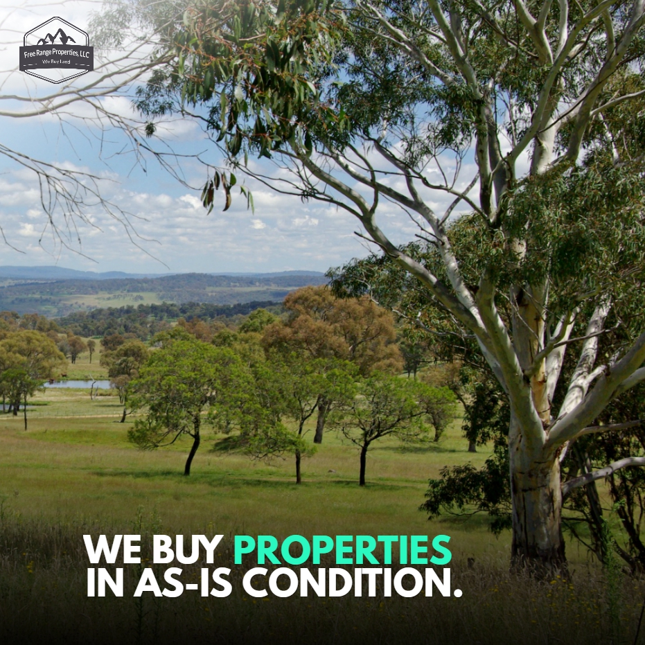 FreeRangeProp's tweet image. You won’t have to fix a thing. We buy your property in any condition. We focus on buying a property in any condition for a fair cash price.
-----
Learn more: freerangeproperties.net
.
.
#freerangeproperties #land #realestate #nature #landscape #property #realtor #house