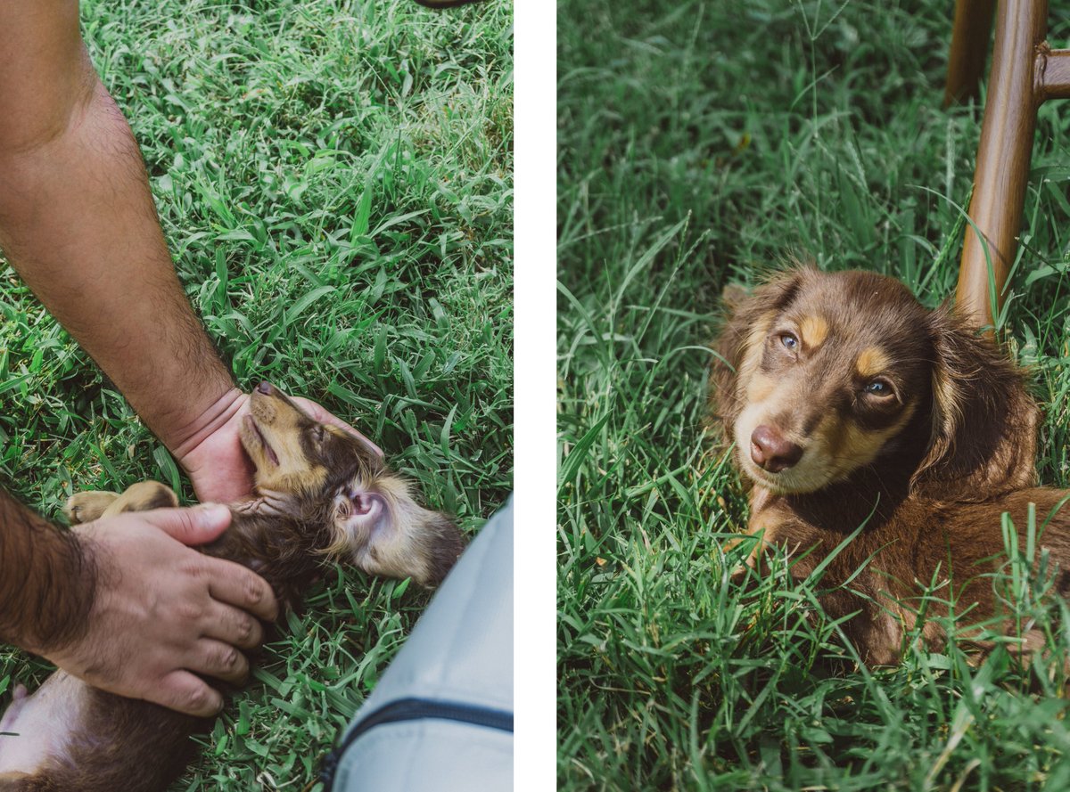 Kendall Allen Blog: Photo Diary: Labor Day With Finn kendallallenblog.com/2020/09/photo-…