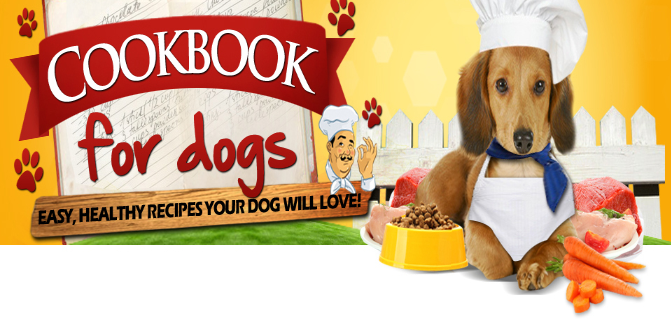 save a ton of your precious time and money when it comes to your dog’s food… bit.ly/3lX7Cmh

#dogsoftwitter #dogsofinstagram #dogs #Puppies #puppylove