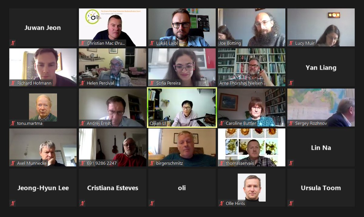 Today, I just joined the #Paleontology, #Oxygenation, and #Climate session of the #VirtualConference Zooming in on the #GOBE. It was very nice to give a talk and to see many familiar faces after a long time. I hope we will be able to meet personally again soon! @igcp653