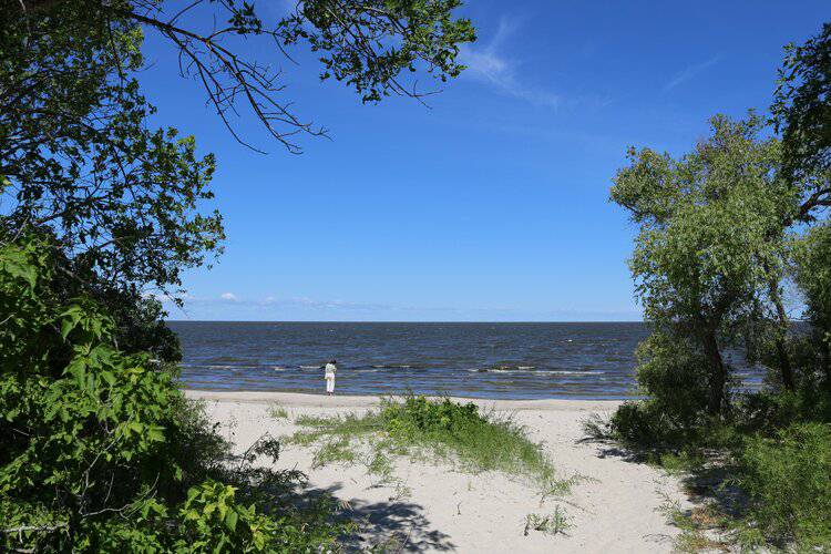 EastmanTourism's tweet photo. As the summer months come to a close, the leaves start to turn colours and we roll into September, there is still time to squeeze in one last summer getaway to the beaches along Hwy 59!

https://t.co/cz7kRkDhCU #EasternMB #ExploreMB #BeachesOf59 https://t.co/cOlbpT7u43