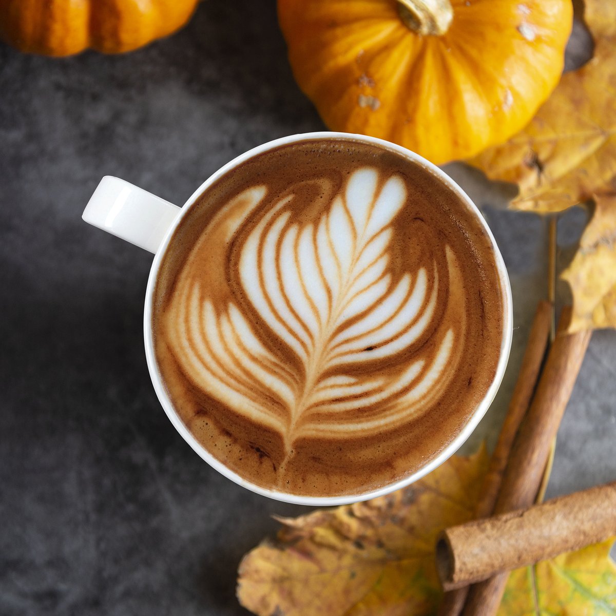 SecondCupCanada's tweet photo. Crews all here! Our Fall Flavours are officially back including everyone's favourite Pumpkin Spice Latte, along with our new plant-based Oat Pumpkin Spice Latte and Apple Pie FroCho 🍂
#SecondCupCanada
#PSL
#OatMilk https://t.co/LC0bILUr9X