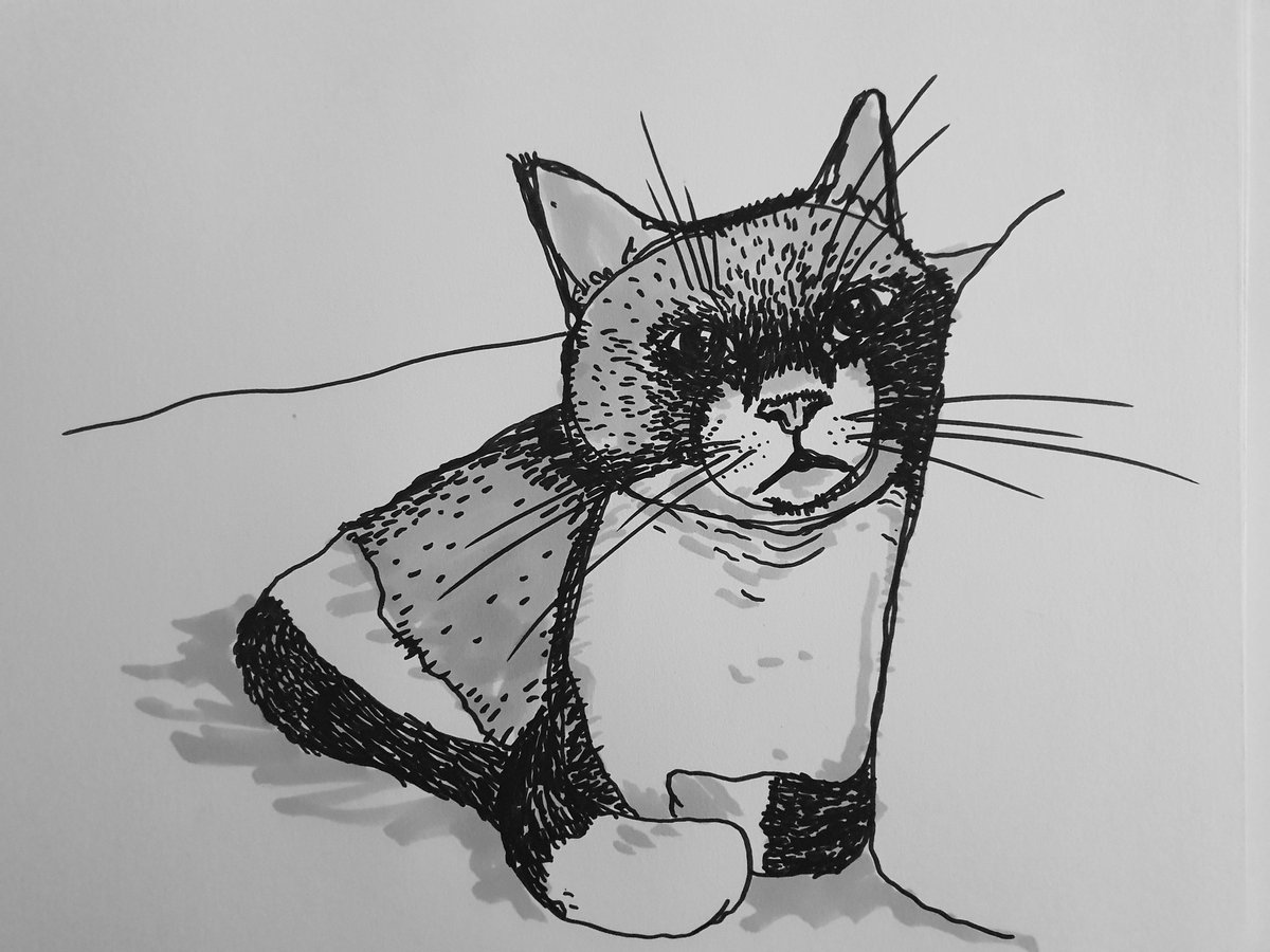 OasisArtBox's tweet photo. #catsketch for #artgroup @OneRecBucks @TheOasisCharity Come and join us for #chat and #relaxation https://t.co/XMaZJi7pi0