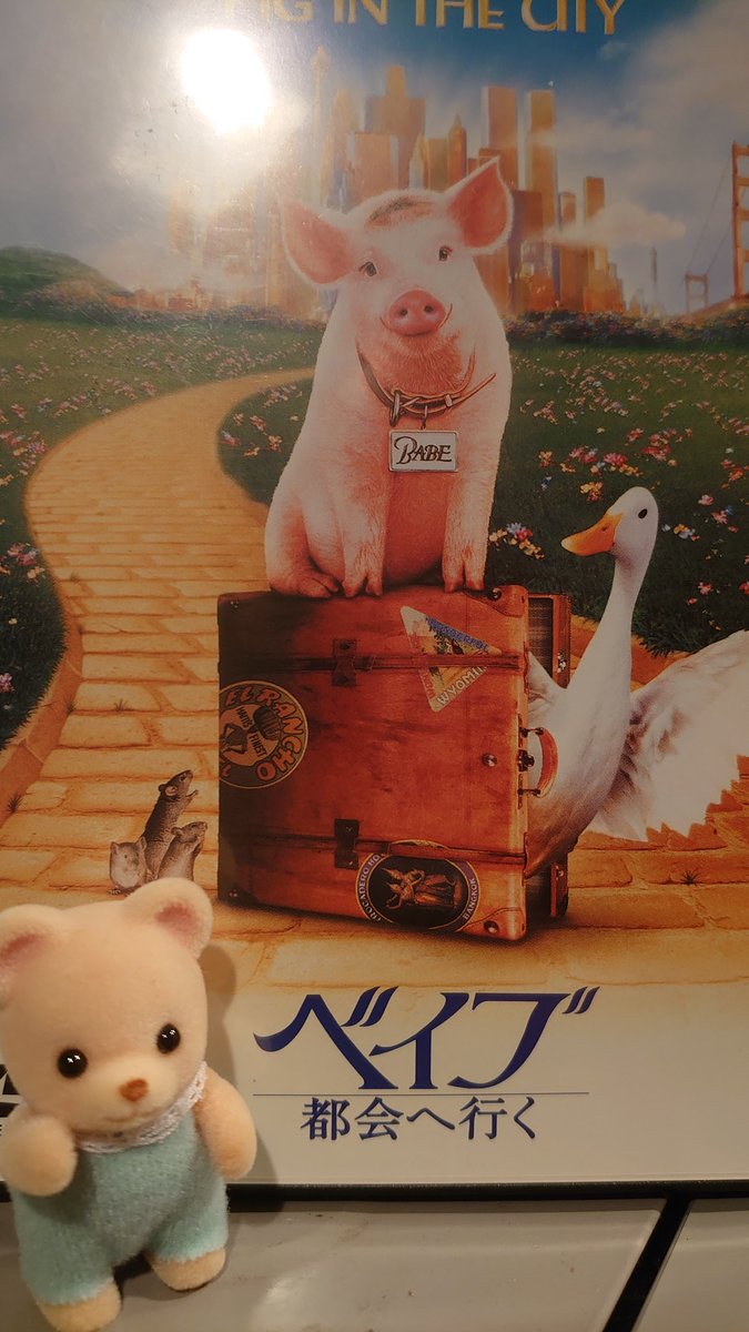 ベイブ都会へ行く Twitter Search