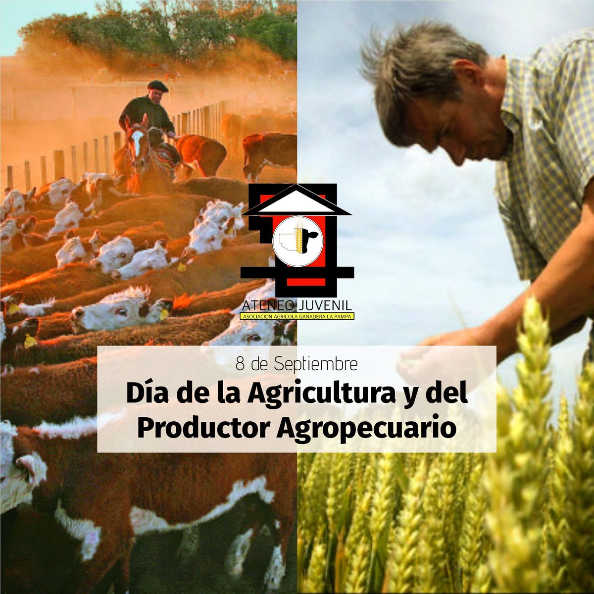 8 de Septiembre, "Día de la Agricultura y el Productor Agropecuario" 🤠🌾🐄

En este día queremos rendirle homenaje a todos los productores agropecuarios del país que con su trabajo y su esfuerzo impulsan nuestro país.