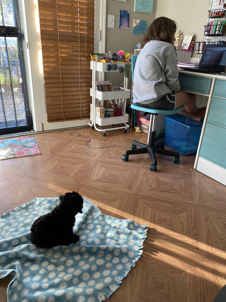 Lcrigler76's tweet photo. Sebastian keeping a watchful eye while Stella has class @JCTMS_JCPS  @vandyman1986 4th period reading https://t.co/rh6SH09l9n